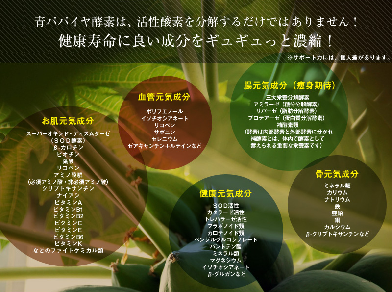 青パパイヤ(青パパイヤ酵素)の成分一覧