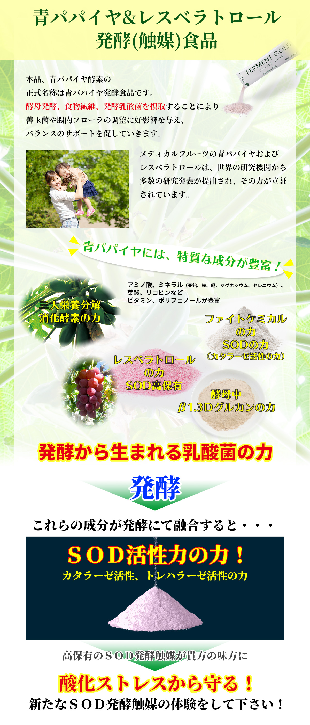 青パパイヤ/酵母発酵/レスベラトロールについて